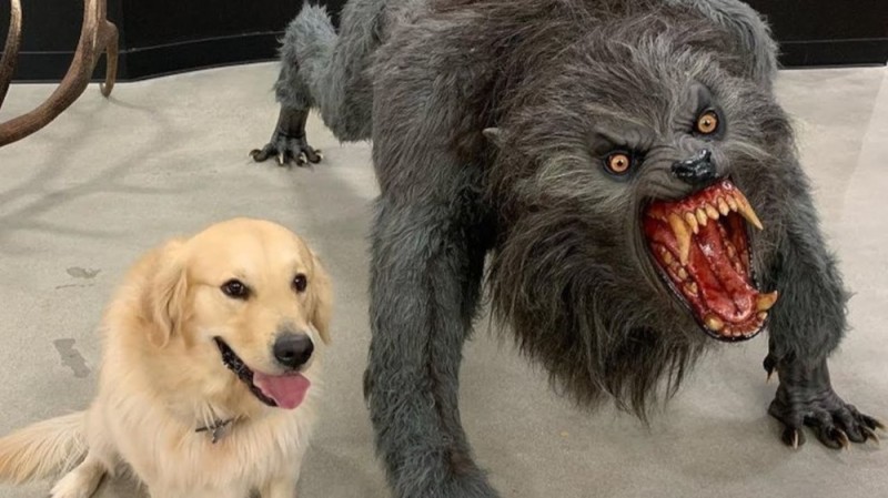 Create meme: the evil dog , dog meme , mad dog 