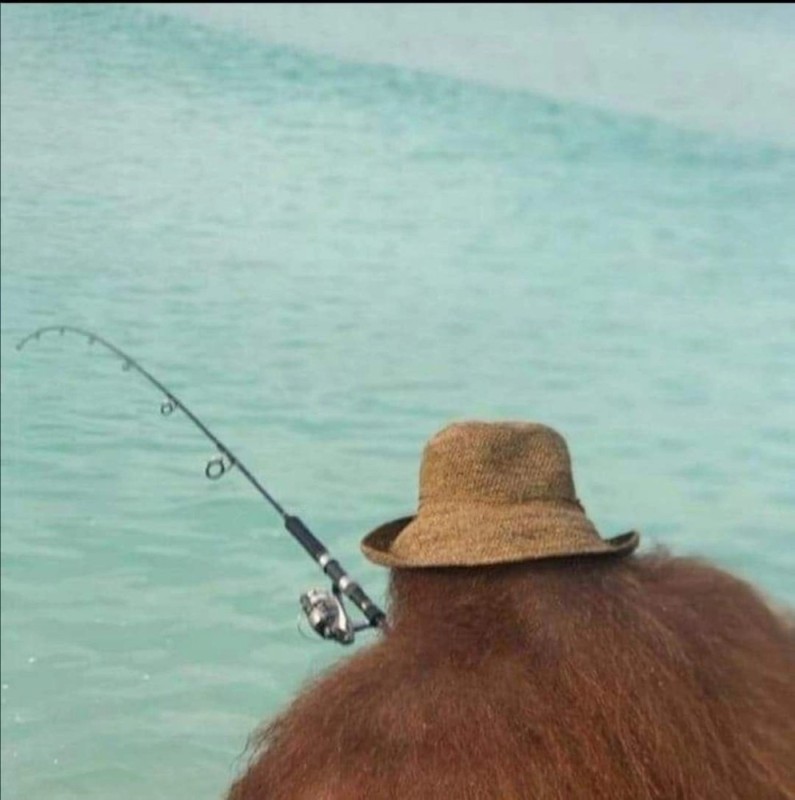 Create meme: fishing, dude , catfish fishing