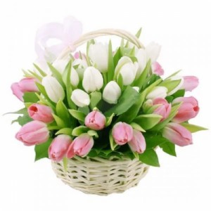 Create meme: pink tulips, basket with flowers, congratulate
