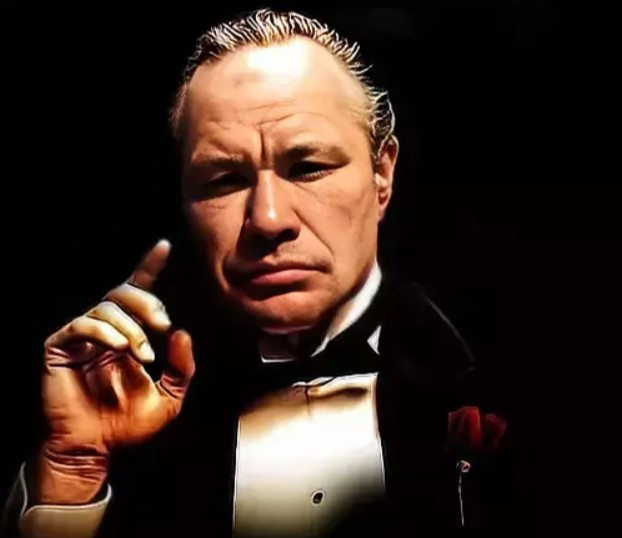 Create meme: mafia don Corleone, the godfather , godfather 