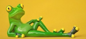 Создать мем: лягушка, лягушка смешная, зеленая лягушка