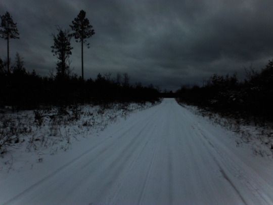 Создать мем: зимний лес, дорога, темнота