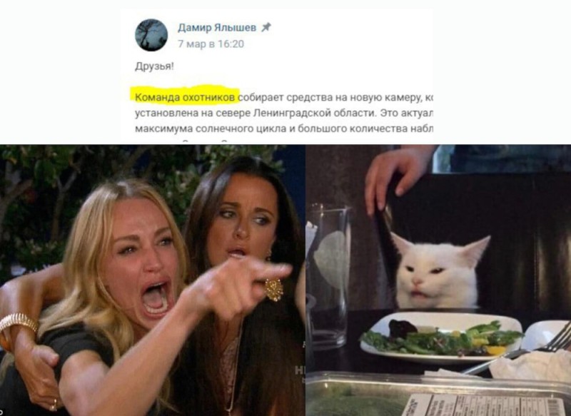 Create meme: catwoman meme, cat meme , meme with two girls and a cat