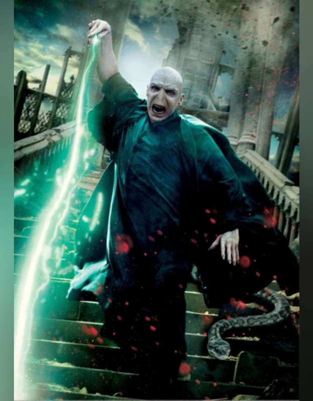Create meme: Harry potter voldemort, Harry Potter , Voldemort Harry Potter