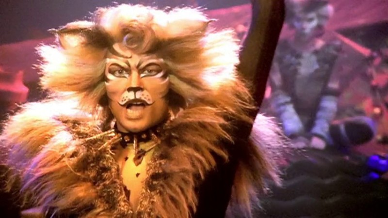 Create meme: rum tum tugger, the musical cats, tugger