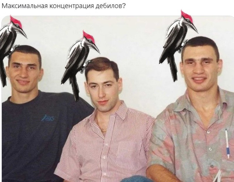 Create meme: the klitschko brothers, Vitali Klitschko , brother 