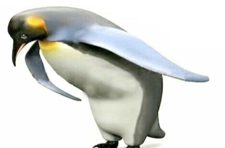 Create meme: the penguin meme, penguin , meme penguin thank you