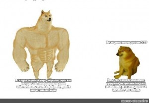 Создать мем: doge качок, качок доге и чимс мем, мускулистая собака