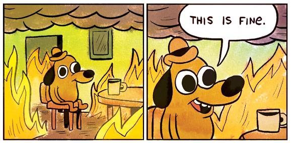 Create meme: this is fine , this is fine dog , dog in heat meme
