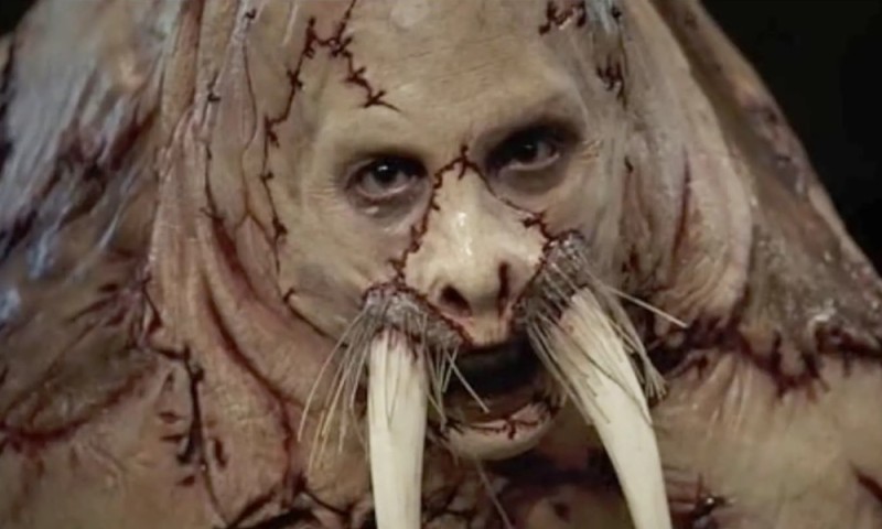 Create meme: Mr. Tusk, Tusk the walrus, walrus horror movie