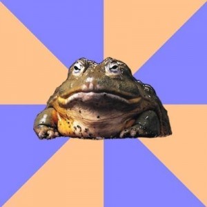 Create meme: amphibians, toad, frog