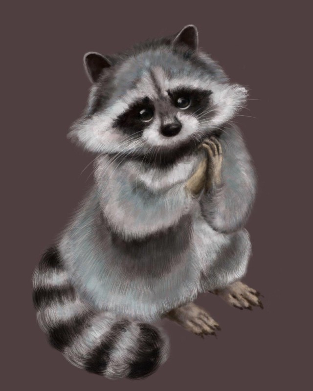 Create meme: raccoon gargle , raccoon art, raccoon 