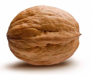 Create meme: chopped nuts, walnuts png, walnut test purchase