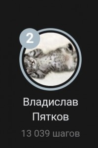 Create meme: cat, cat, snow leopard