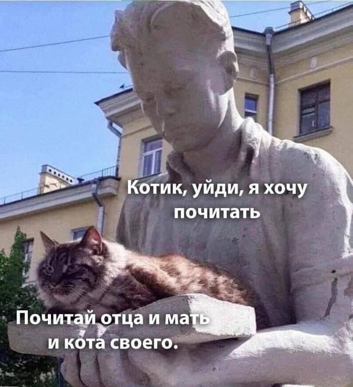 Создать мем: кот ленин, кот, кошка на мальчике скульптура