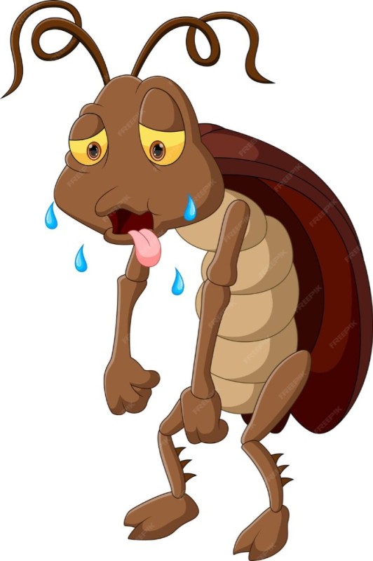 Создать мем: таракан милый, мультяшный таракан, таракан жук