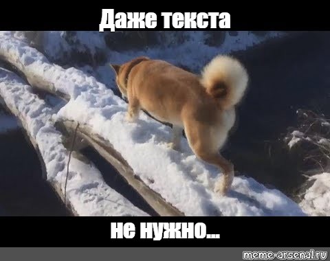 Создать мем: null