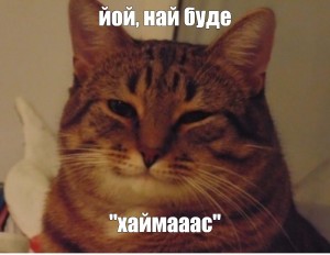 Создать мем: добрый кот мем, понимающий кот, довольный кот мем