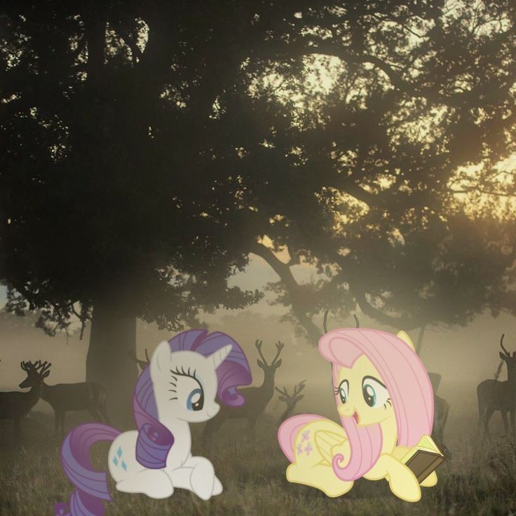 Создать мем: my little pony fluttershy, pony, темнота