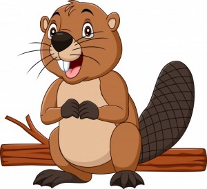 Create meme: beaver, beavers cartoon, beaver vector