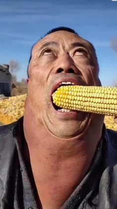 Создать мем: говорящая кукуруза, сладкая кукуруза, вареная кукуруза