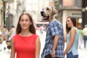 Create meme: dog, a woman with a dog