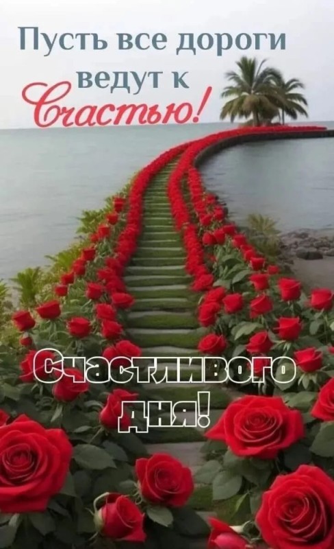 Create meme: postcard, sea of roses, the flowers are beautiful