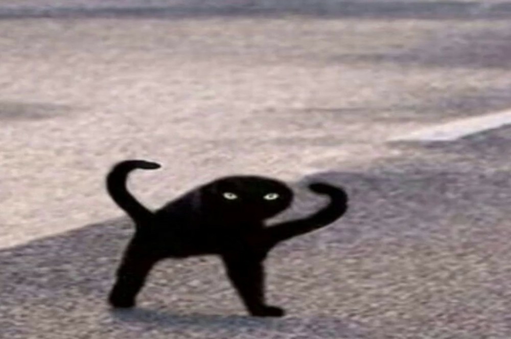 Создать мем: кот ъуъ, кот мем ъуъ, черный кот ъуъ