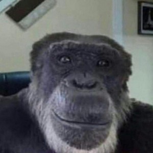 Create meme: meme gorilla, chimp meme, monkeys meme