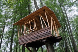 Create meme: tree house, a tree house with his own hands, tree house