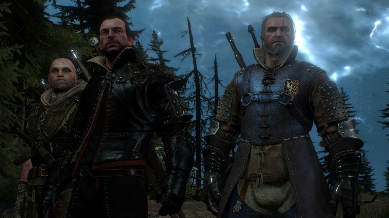 Create meme: The Witcher 3: Wild Hunt, Temeria the witcher, geralt the witcher 3