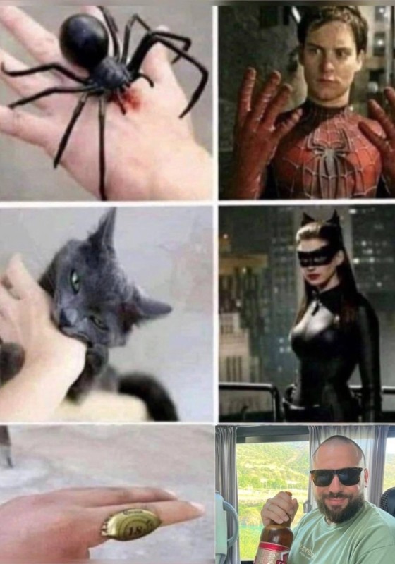 Create meme: bitten by a spider, cat , peter parker spider bite