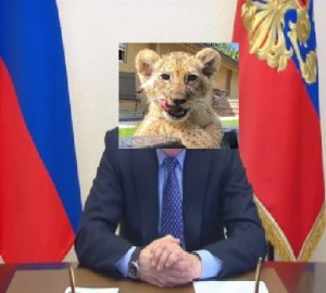 Создать мем: лев, спасенный львенок, животные