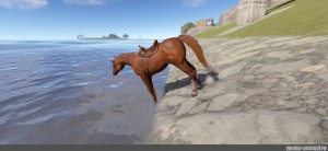 Create meme: horse simulator, horse , riding horse