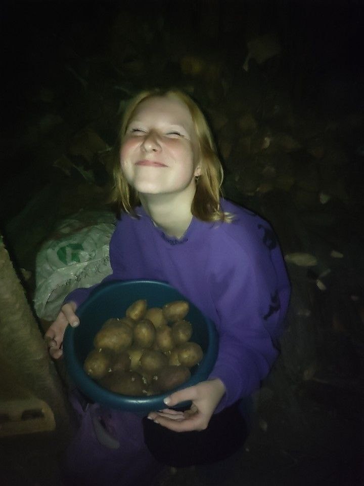 Создать мем: семенной картофель, картошка молодая, крупная картошка