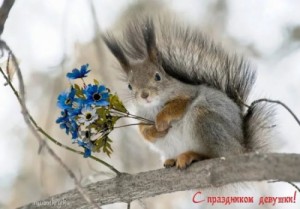 Create meme: protein, March 8, girl squirrel