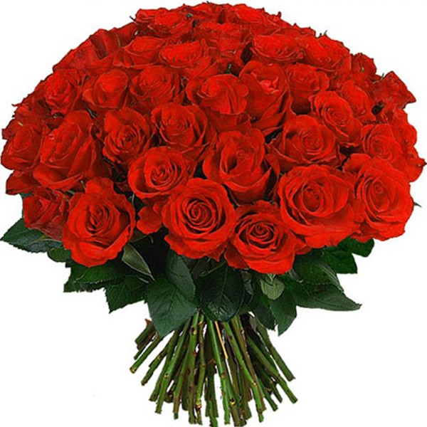Create meme: a bouquet of roses , bouquet of red roses (75), bouquet of roses red