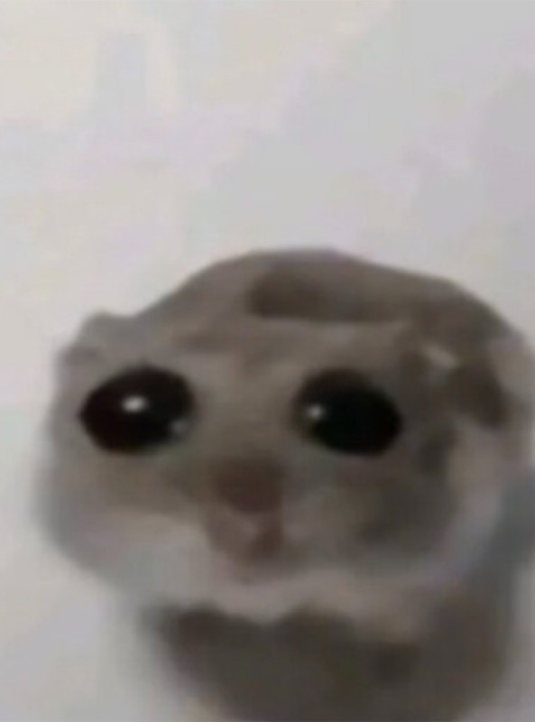 Create meme: A hamster with big eyes, big eyes meme, hamster with a cross meme