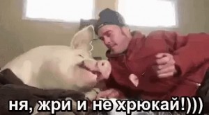 Create meme: pig, sifco wonder pig, man and pig joke
