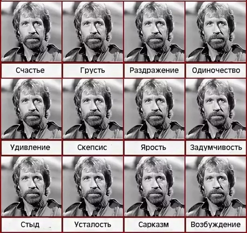 Create meme: Chuck Norris emotions, emotions , people emotions