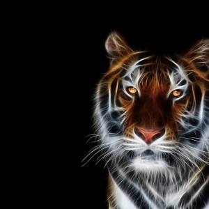 Создать мем: фоновые рисунки для телефона животные, тигр, картинки тигров скачать бесплатно на телефон
