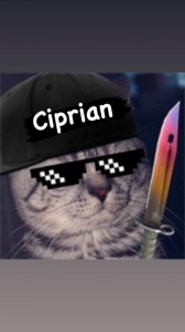 Create meme: counter-strike: global offensive, cool cat, cat cs go