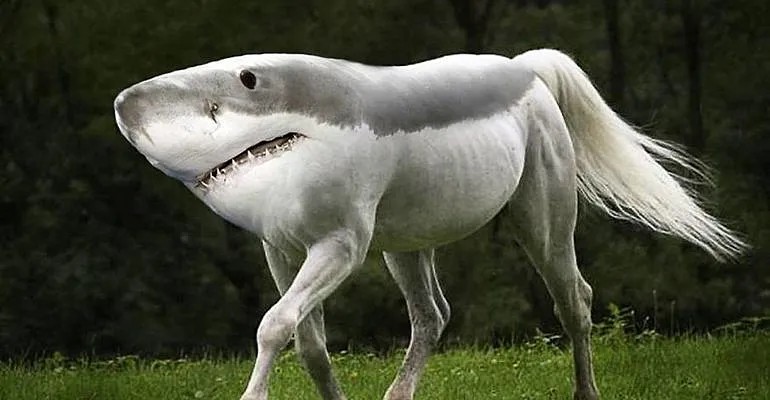 Create meme: shark horse, hybrid animals, white horse