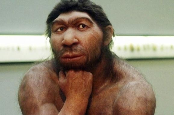 Create meme: Neanderthal , Patrick is a Neanderthal, the bald neanderthal