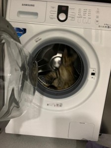 Create meme: washing machine Samsung, washing machine samsung wf 8590rpa, washing machine samsung wf8590