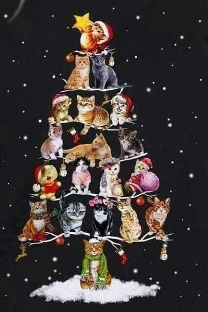 Create meme: Tatiana Rodionova's New Year's cats, Christmas illustration, new year 's cat