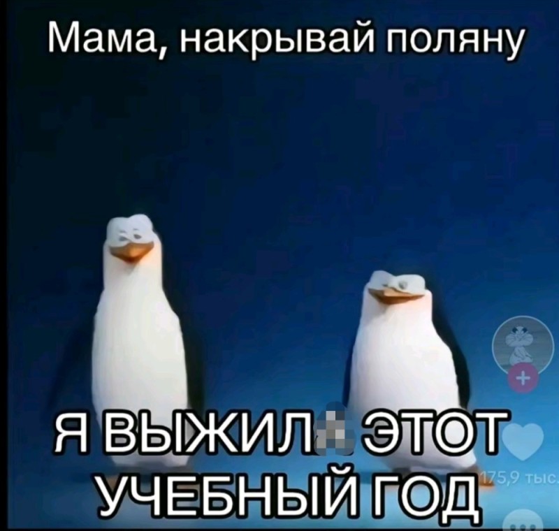 Создать мем: пингвины мадагаскара: операция «отпуск» 2012, мадагаскар пингвины, пингвины из мадагаскара шкипер