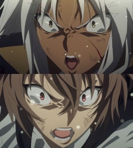 Create meme: fate sieg, fried selsun dxd, fate apocrypha AMV