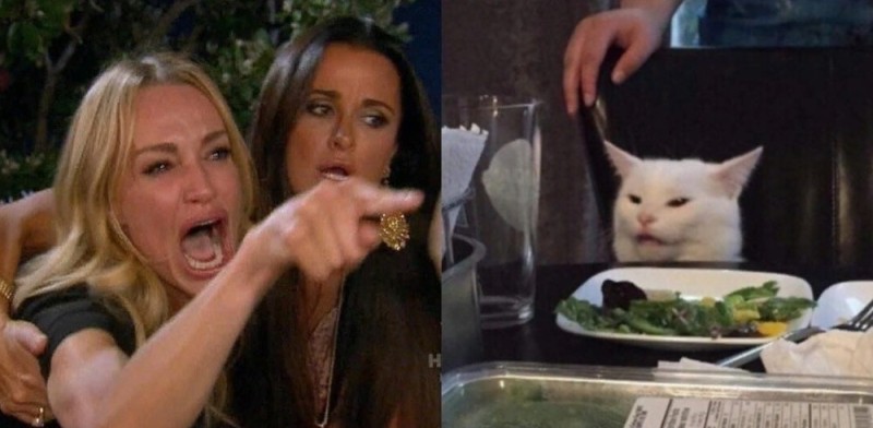 Create meme: meme woman yelling at the cat, meme with a cat and two women, cat woman