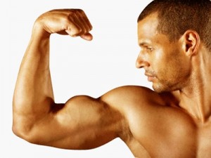 Create meme: male arm bicep, the muscles of the arms, men's inflated hands